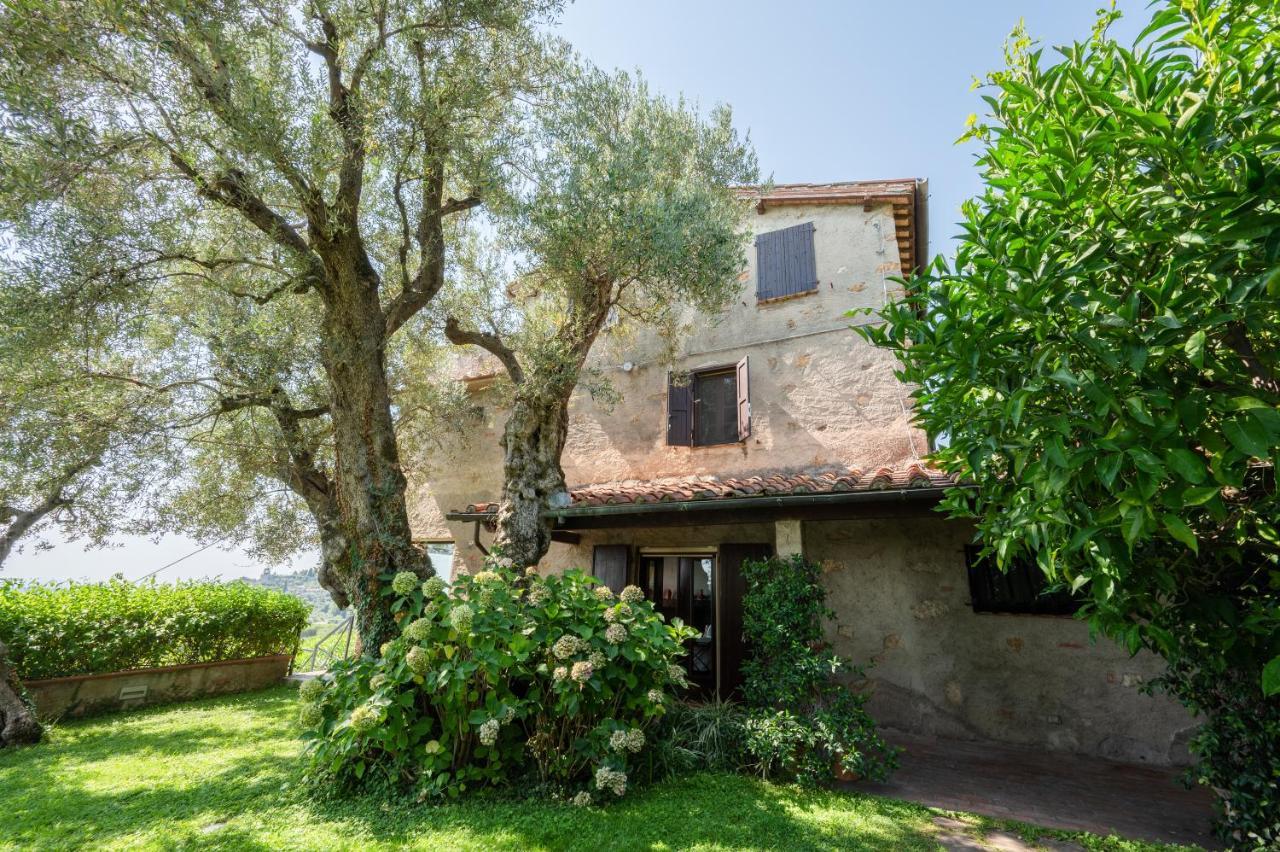 Villa Eden Forte Dei Marmi With Private Infinity Pool Santa Lucia  Exteriör bild