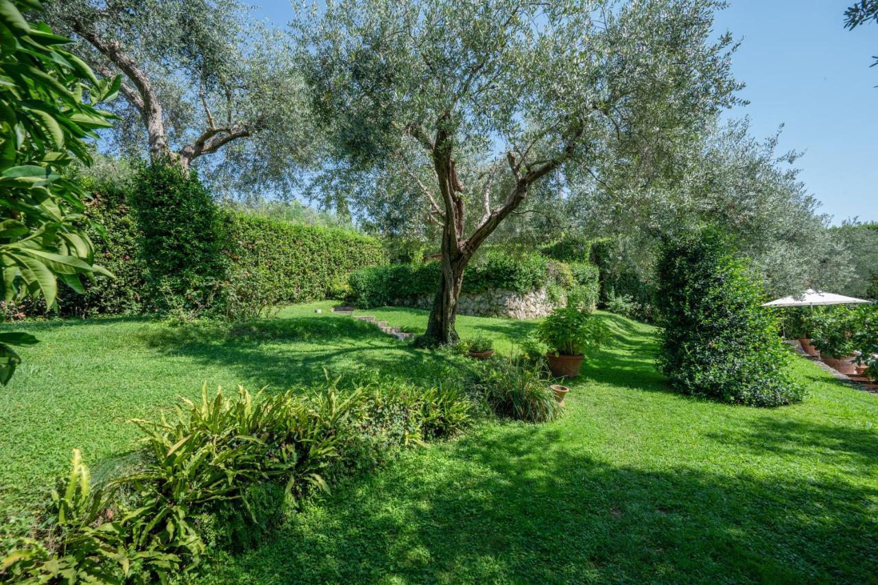 Villa Eden Forte Dei Marmi With Private Infinity Pool Santa Lucia  Exteriör bild