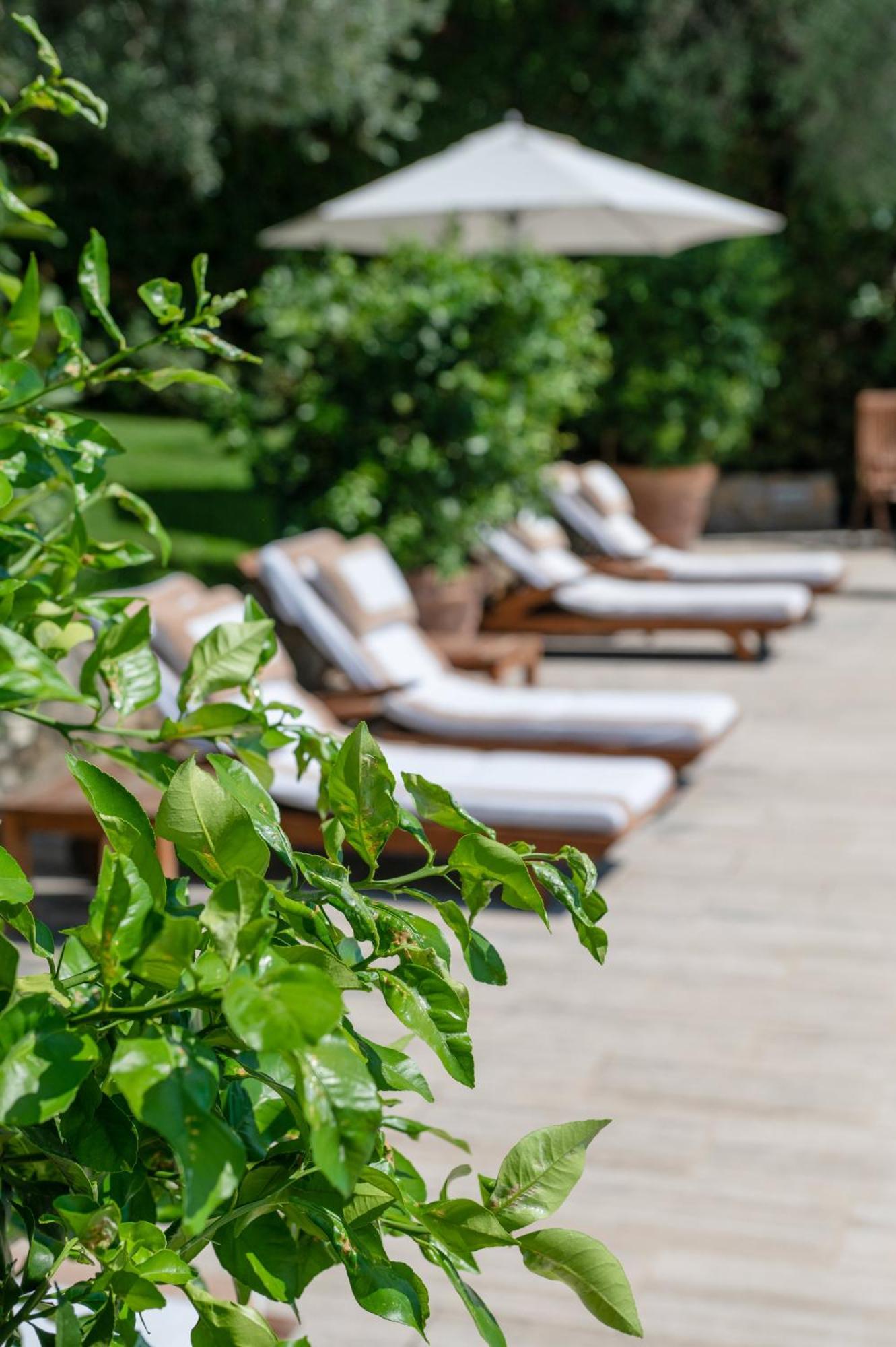Villa Eden Forte Dei Marmi With Private Infinity Pool Santa Lucia  Exteriör bild