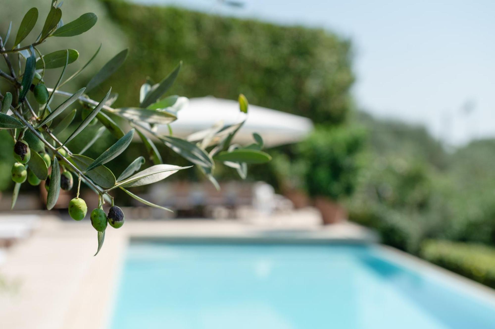 Villa Eden Forte Dei Marmi With Private Infinity Pool Santa Lucia  Exteriör bild
