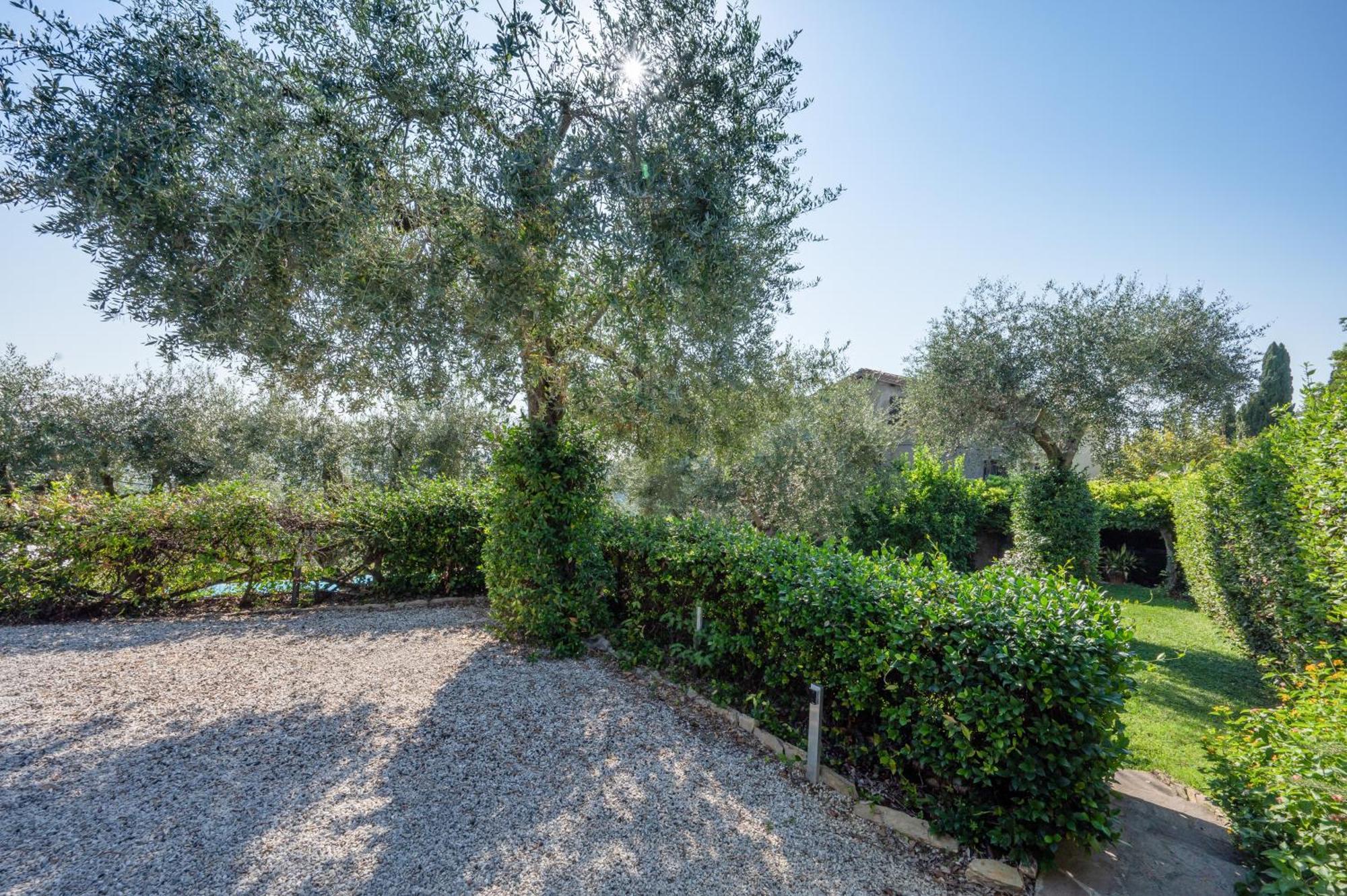 Villa Eden Forte Dei Marmi With Private Infinity Pool Santa Lucia  Exteriör bild